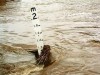 Ostrzeżenie hydrologiczne I - go stopnia gwałtowne wzrosty stanu wody z dnia 26.08.2023 r.